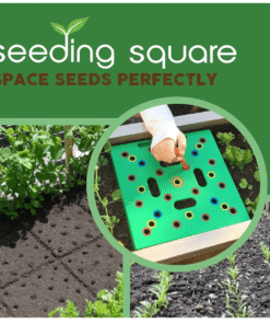 Seeding Square